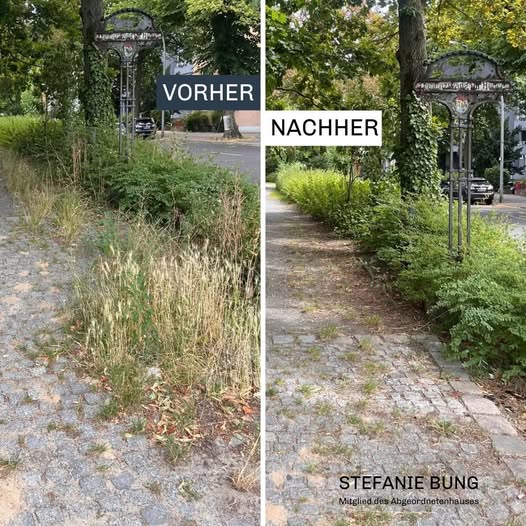 Parkabschnitt in Schmargendorf